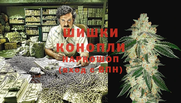 дурь Краснослободск