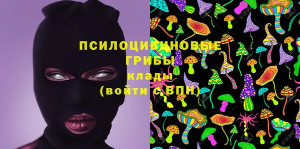 твердый Коряжма