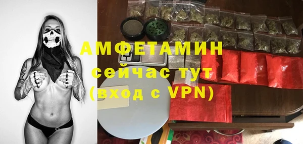 твердый Коряжма